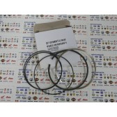 PISTON RING 590310500001